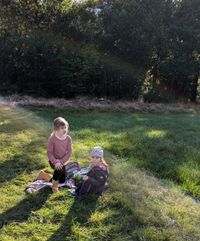 Picknick_Wiese2