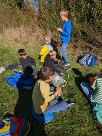 Picknick_Wiese4